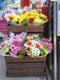 Mobile Flower Crates Stand
